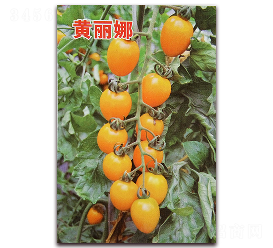 Ǭ�»�����-��������-Ǭ����ҵ