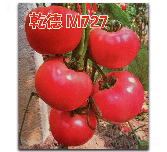 Ǭ��M727-��������-Ǭ����ҵ