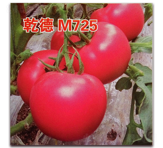 Ǭ��M725-��������-Ǭ����ҵ