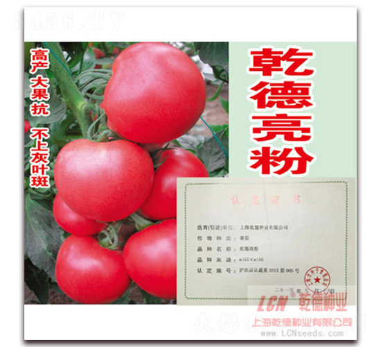 Ǭ������-�۹���������-Ǭ����ҵ