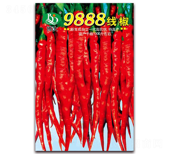9888�߽�-��������-�β���