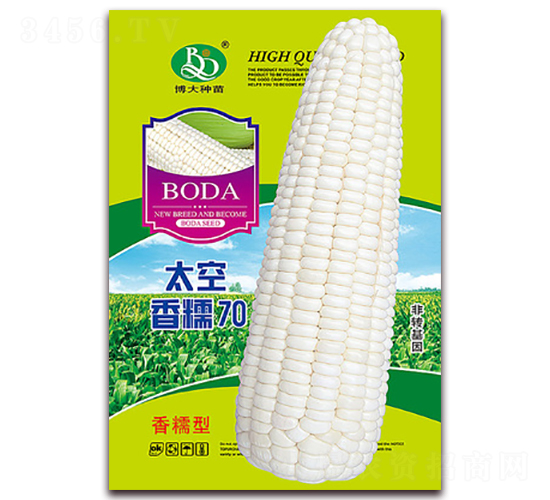 ̫����Ŵ70-��Ŵ��������-�β���