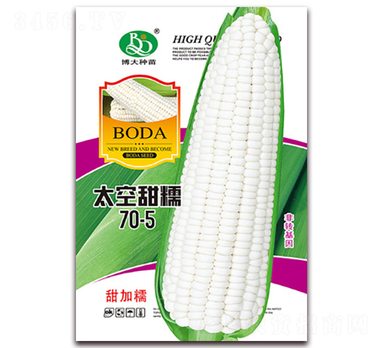 ̫����Ŵ70-5-��Ŵ��������-�β���