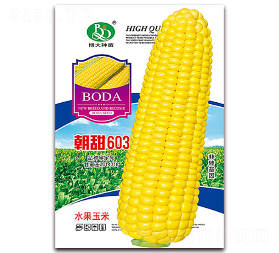 ����603-��Ŵ��������-�β���