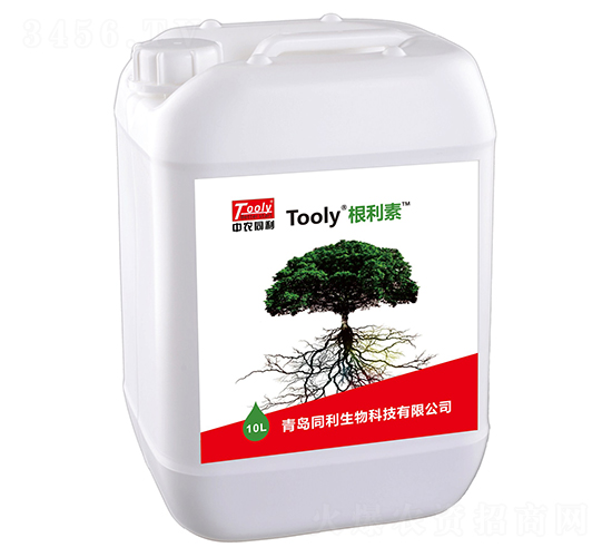 Tooly������-ͬ������