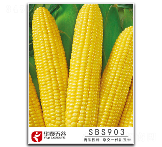 SBS903-����������-��̩���
