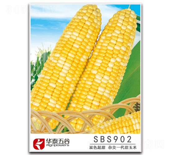 SBS902-����������-��̩���