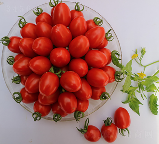 ����44��-ӣ�ҷ�������-����