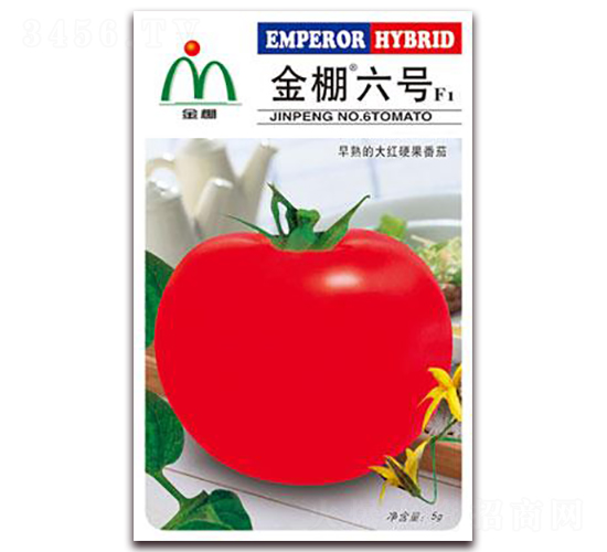 ��������-��췬������-����