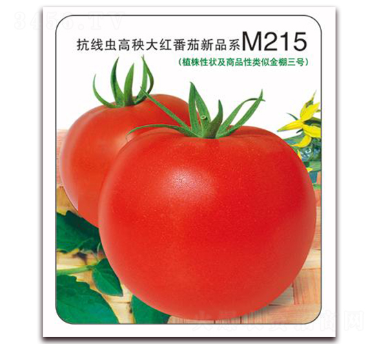 ����M215-��췬������-����