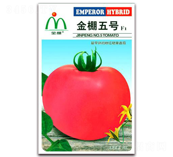 �������-�ۺ췬������-����