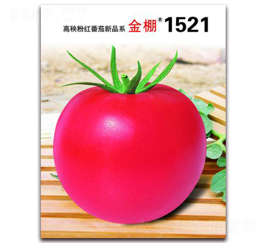 ����1521-�ۺ췬������-����