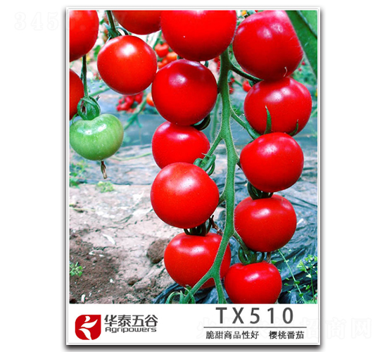 ӣ�ҷ���TM510-��������-��̩���