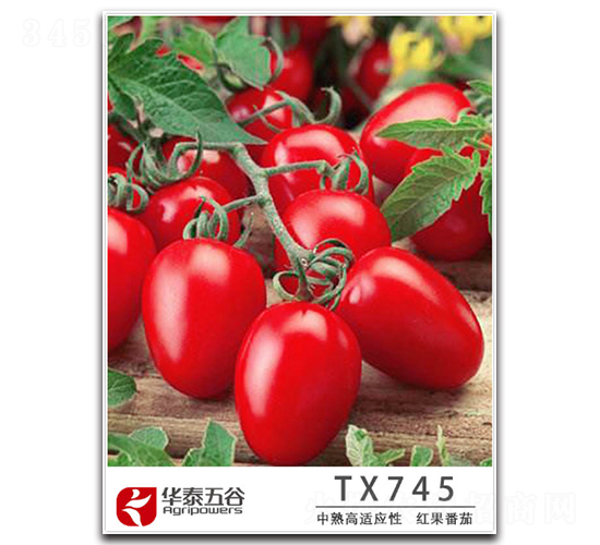 TM745-��������-��̩���