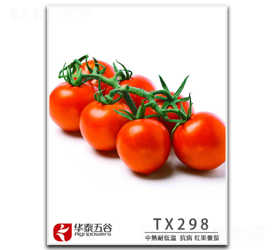 TM298-��������-��̩���