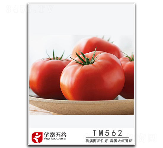 TM562-��������-��̩���