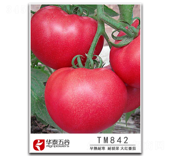 TM842-��������-��̩���