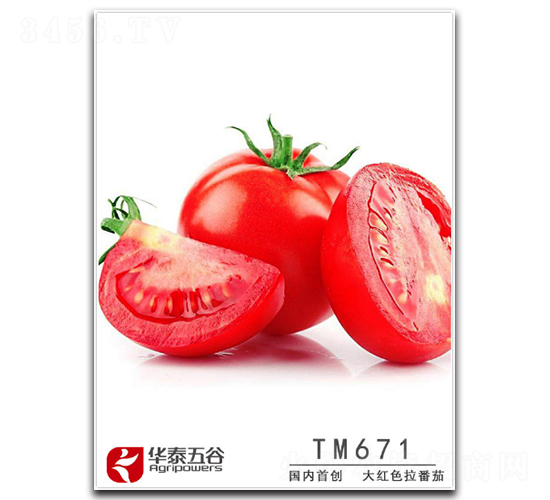 TM671-��������-��̩���