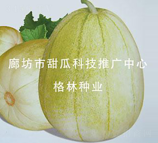 ���Ǿź�-�������-������ҵ