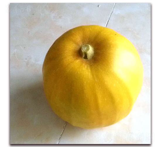 ʮ����-�������-������ҵ