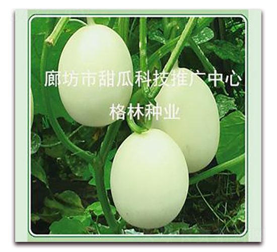 ���Ǵ���-�������-������ҵ