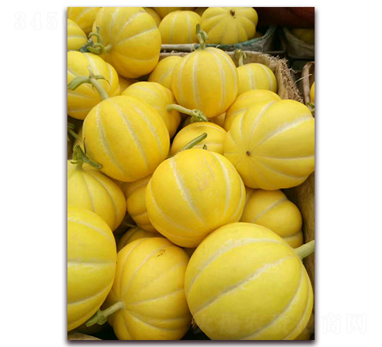 ��958-�������-������ҵ