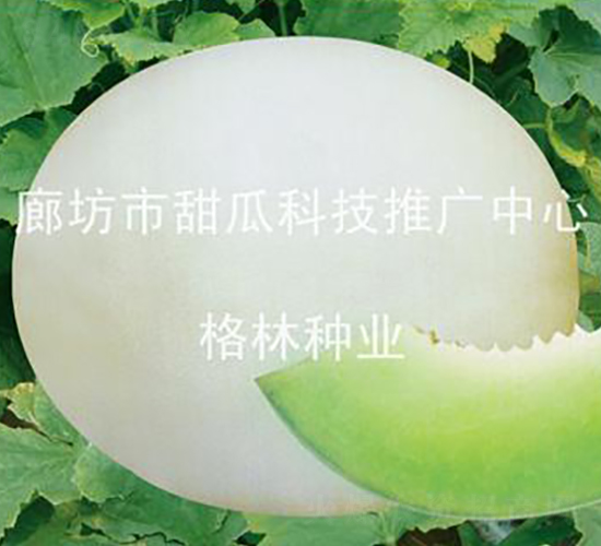 ��Z-�������-������ҵ