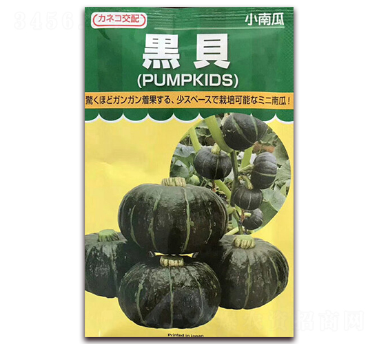 �ڱ�-�Ϲ�����-��˹��