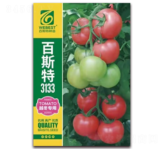 ��˼��3133-��������-��˹��