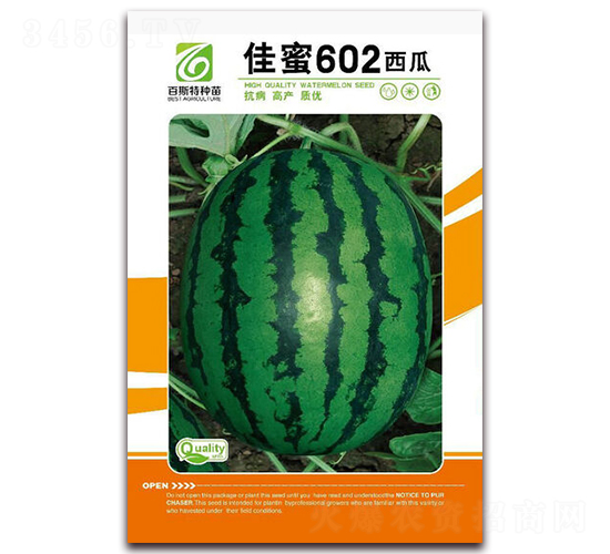 ����602-��������-��˹��