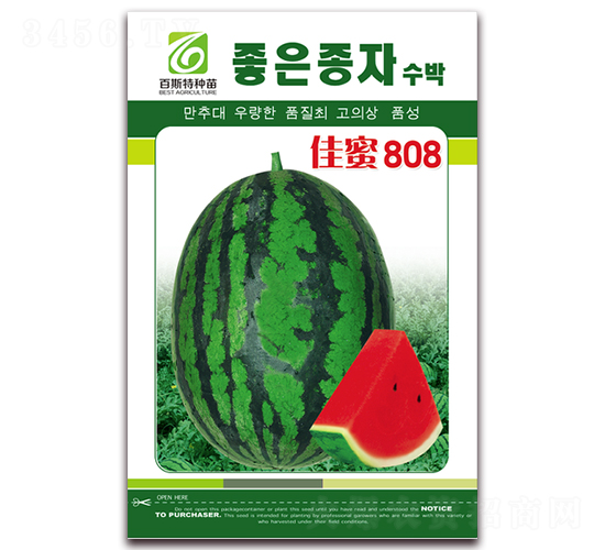 ����808-��������-��˹��
