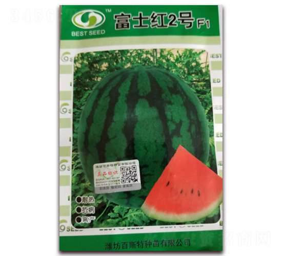 ��ʿ��2��-��������-��˹��