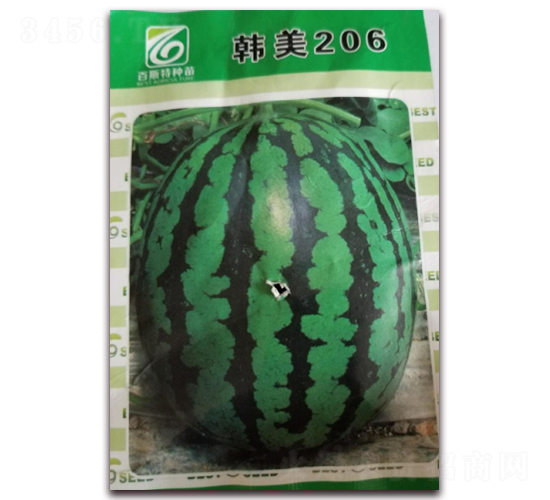 ����206-��������-��˹��