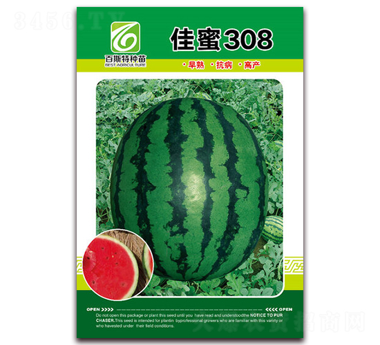 ����308-��������-��˹��
