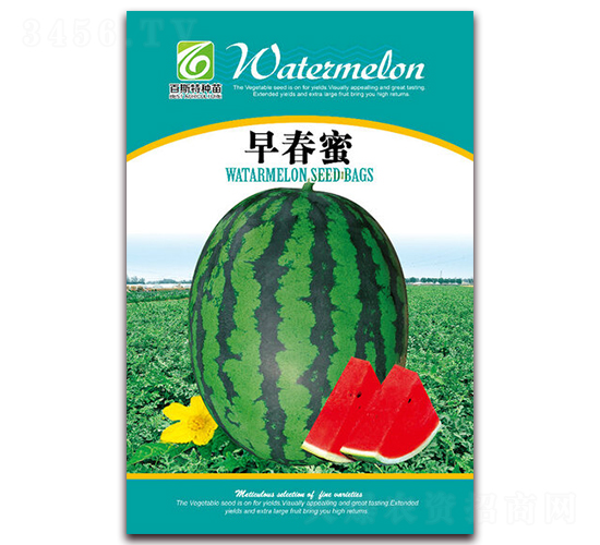 �紺��-��������-��˹��