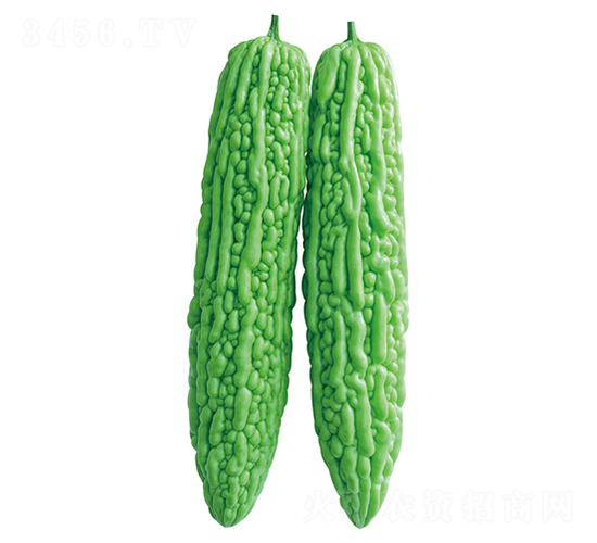 ��˧-�������-����