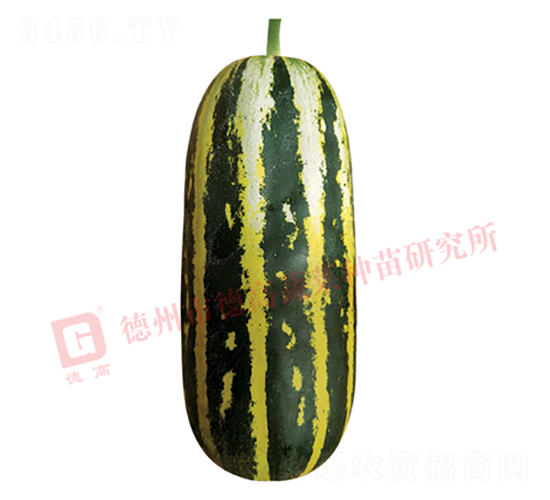 �¸�S120-�������-�¸�