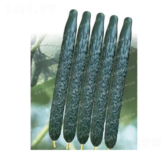 �¸�C57-�ƹ�����-�¸�