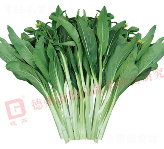 �¸�2027-��޷����-�¸�
