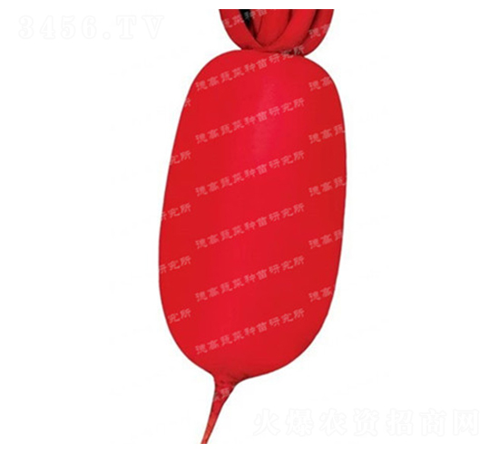 �׺�-��Ƥ�ܲ�����-�¸�