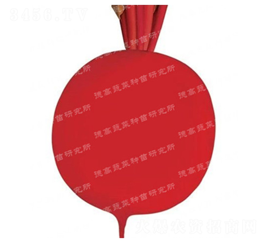 �����-��Ƥ�ܲ�����-�¸�