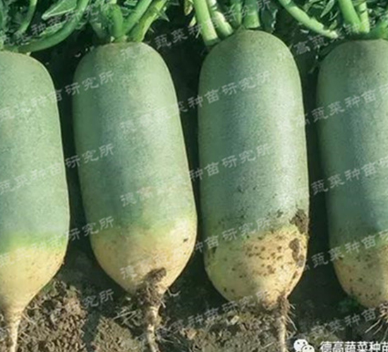 ���-ˮ���ܲ�����-�¸�