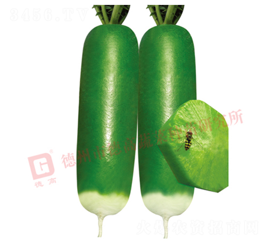 ������-ˮ���ܲ�����-�¸�