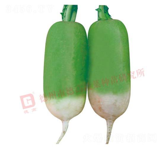 R117-����Ƥ�ܲ�����-�¸�