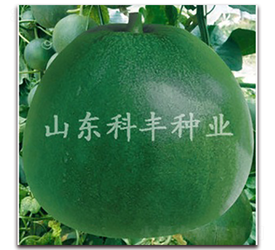 ����䱦-�������-�Ʒ���ҵ