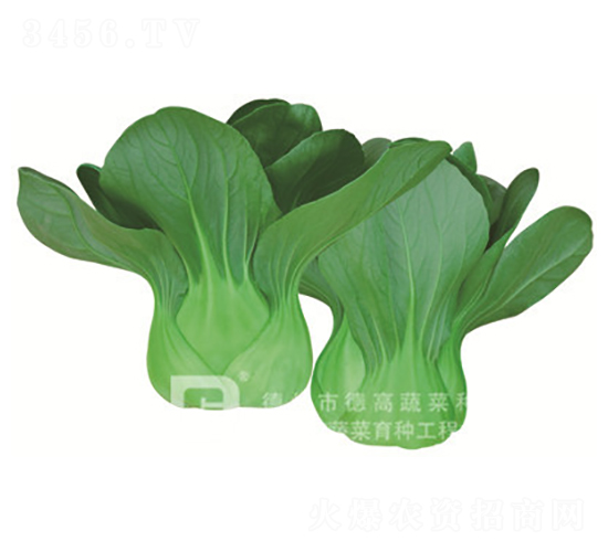 �¸�T668-�๣������-�¸�