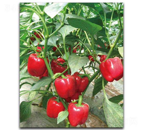 932-������
