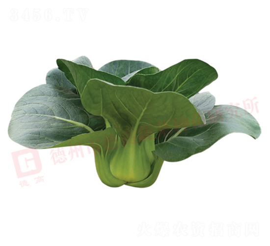 �¸�1226-�๣������-�¸�
