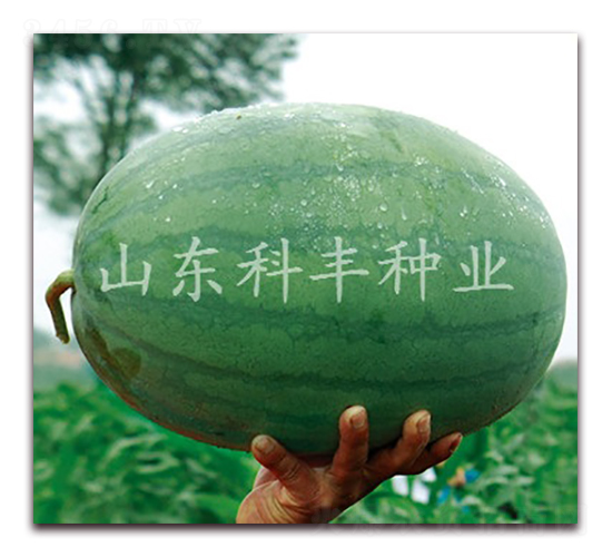 �ش��ɳ��-��������-�Ʒ���ҵ