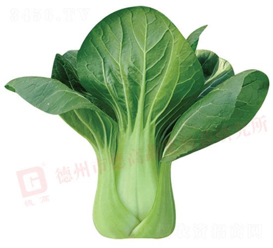 �¸�578-�๣������-�¸�